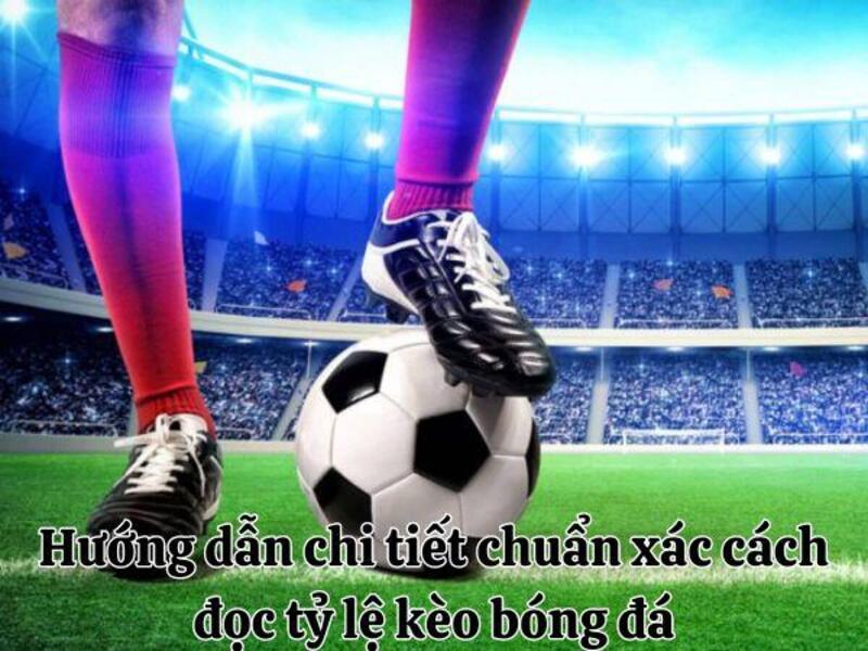 ty le keo bong da 1 Hướng dẫn chi tiết chuẩn xác cách đọc tỷ lệ kèo bóng đá