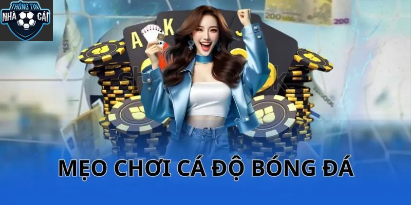 bi quyet soi keo hieu qua tren trang ca cuoc bong da Bí Quyết Soi Kèo Hiệu Quả Trên Trang Cá Cược Bóng Đá