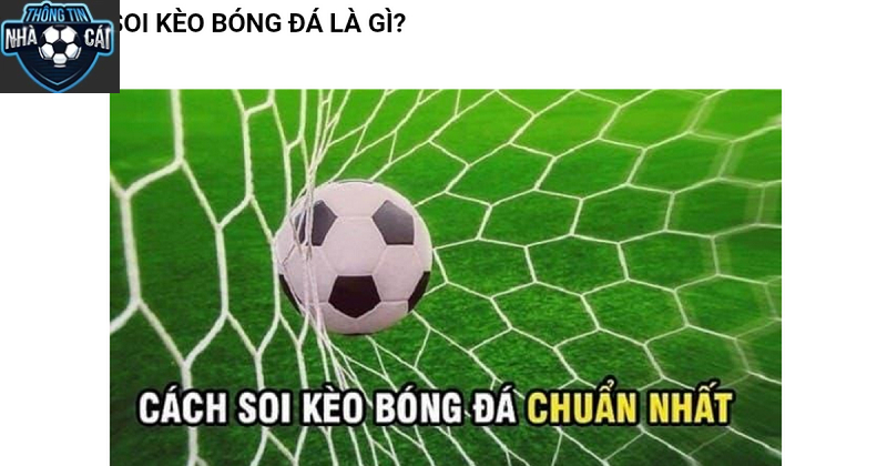 nhung luu y dac biet khi tham gia trang ca cuoc bong da Những Lưu Ý Đặc Biệt Khi Tham Gia Trang Cá Cược Bóng Đá