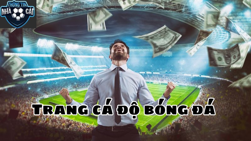 trang ca do bong da la gi Trang Cá Cược Bóng Đá Là Gì?
